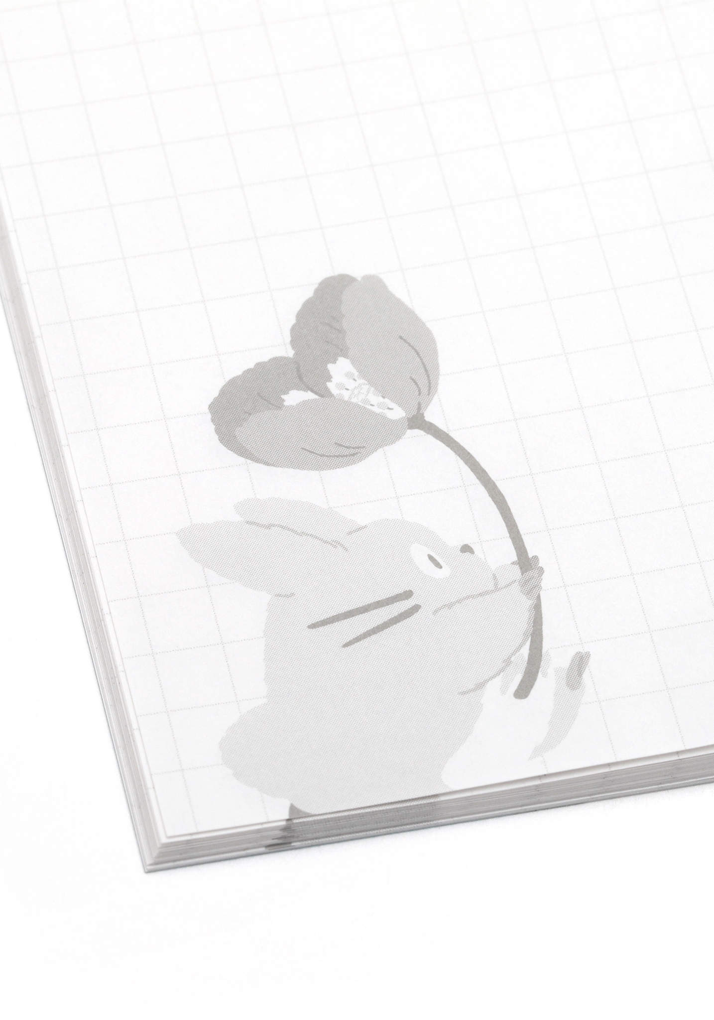 Notebook | B6 | Studio Ghibli