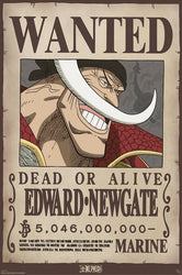 Posters | One Piece (See Variants) Poster Studio B