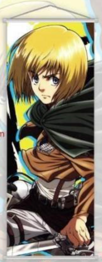 Wall Scroll | Attack on Titan | Armin Arlert