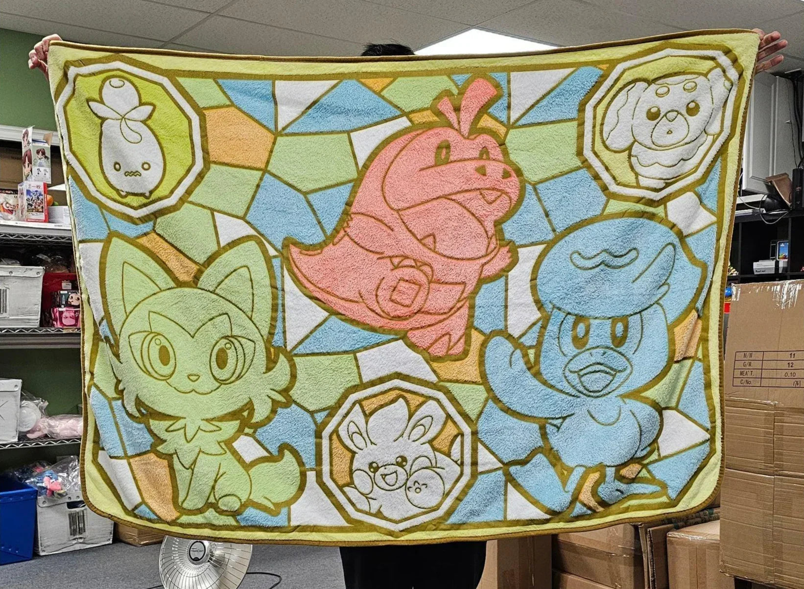 Blanket | Pokémon (see variants) Blanket Anime Island CA
