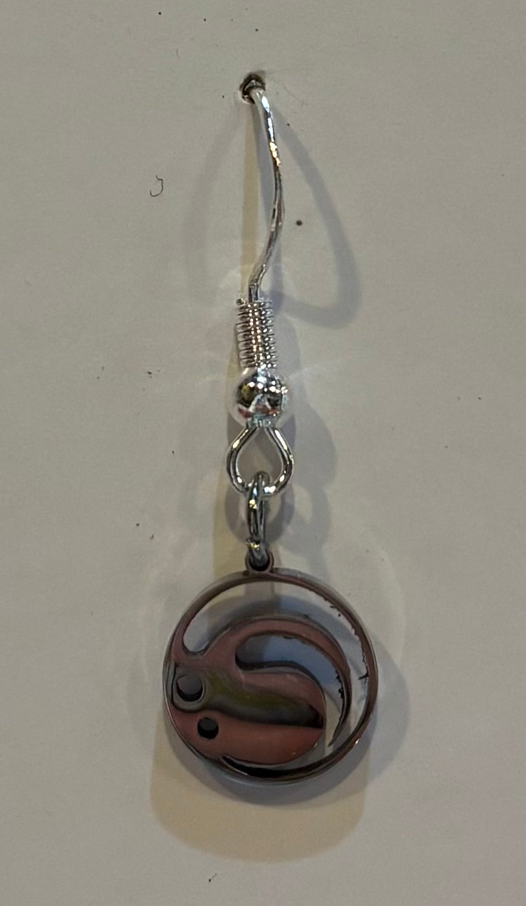 Earring | Genshin Impact | Stainless Steel (see variants) Earrings Anime Island CA