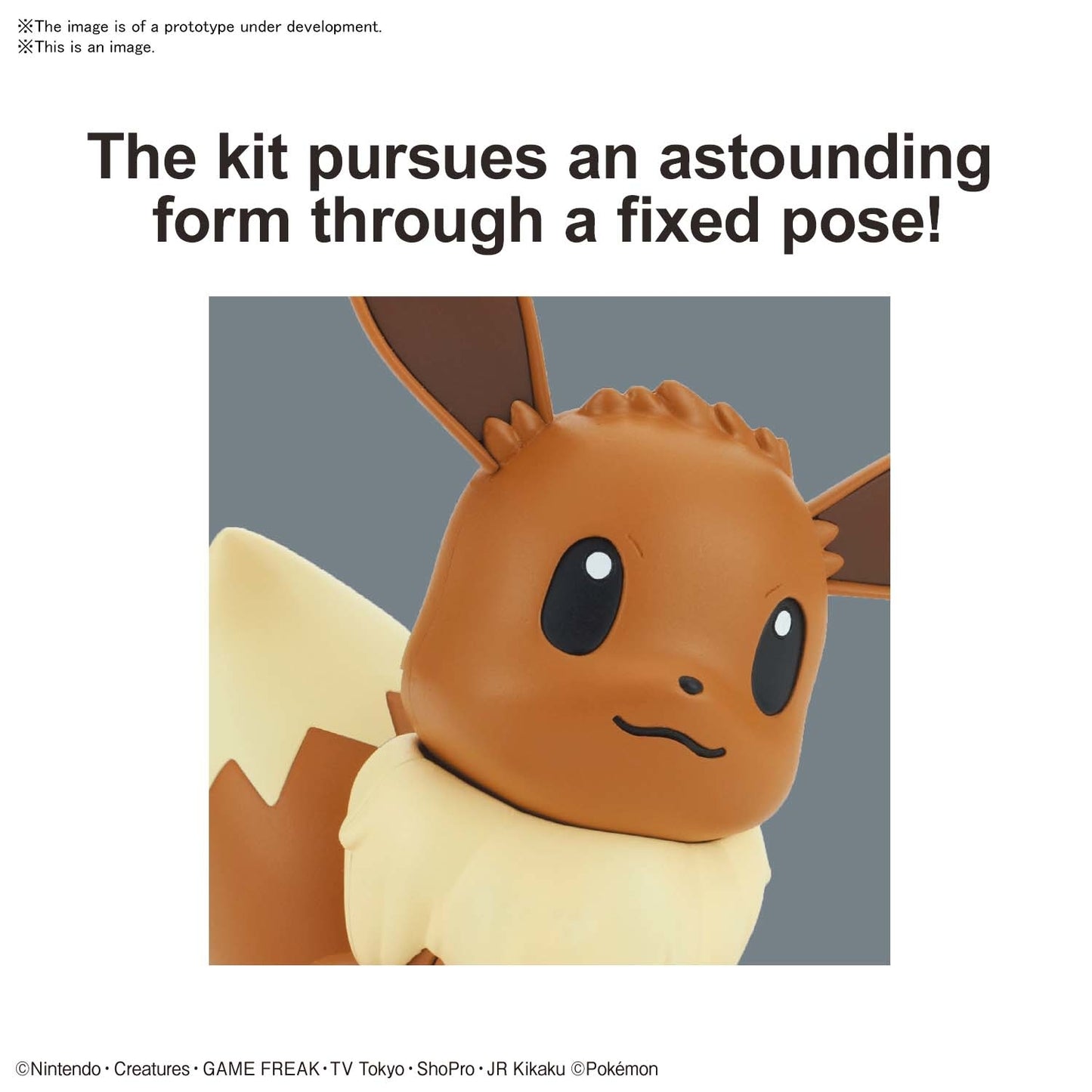 Model Kit | Bandai | Pokemon | 07 Eevee