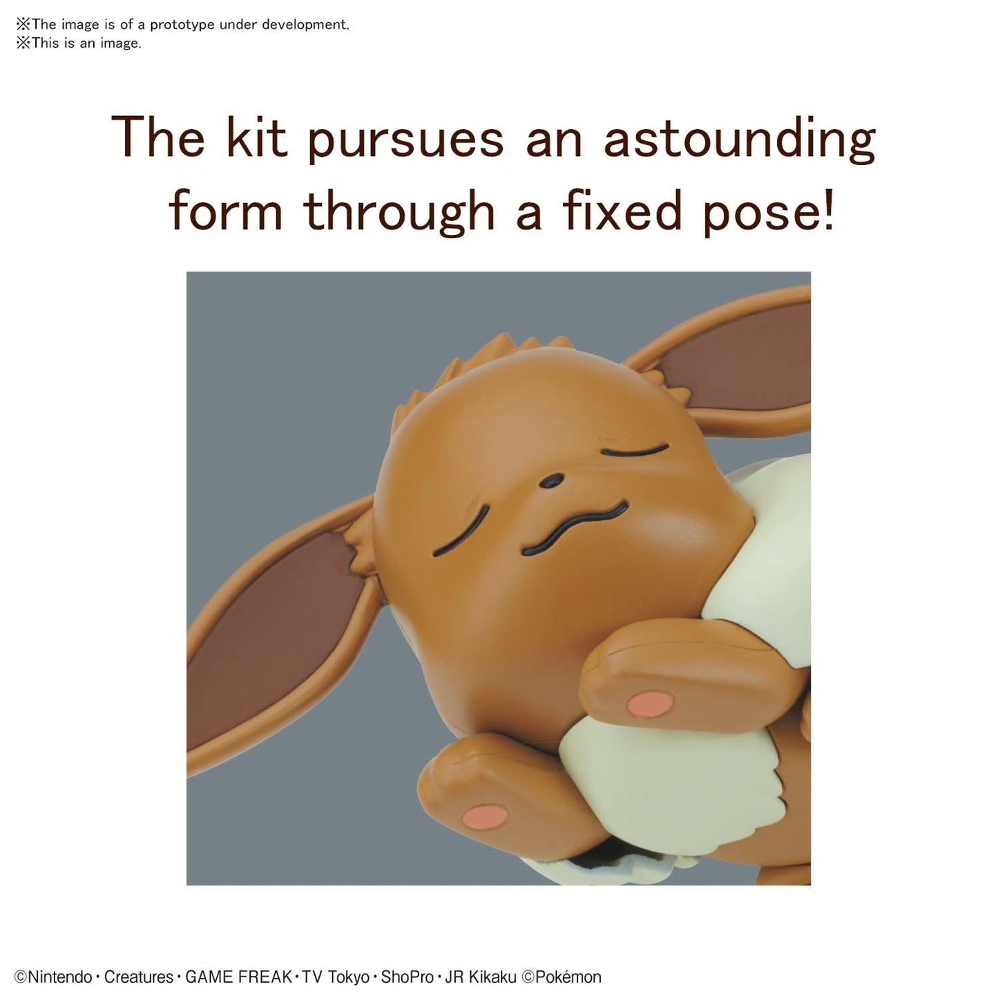 Model Kit | Bandai | Pokemon | 07 Eevee Sleeping