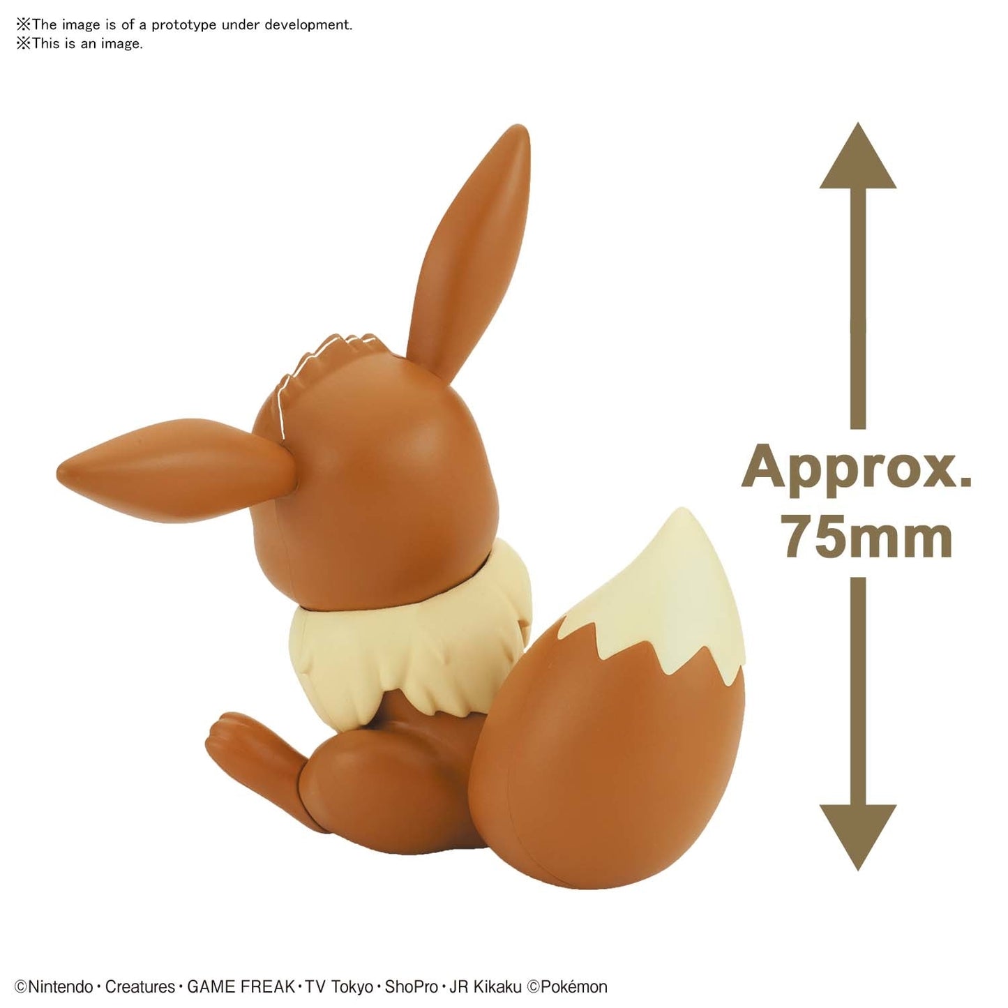 Model Kit | Bandai | Pokemon | 07 Eevee