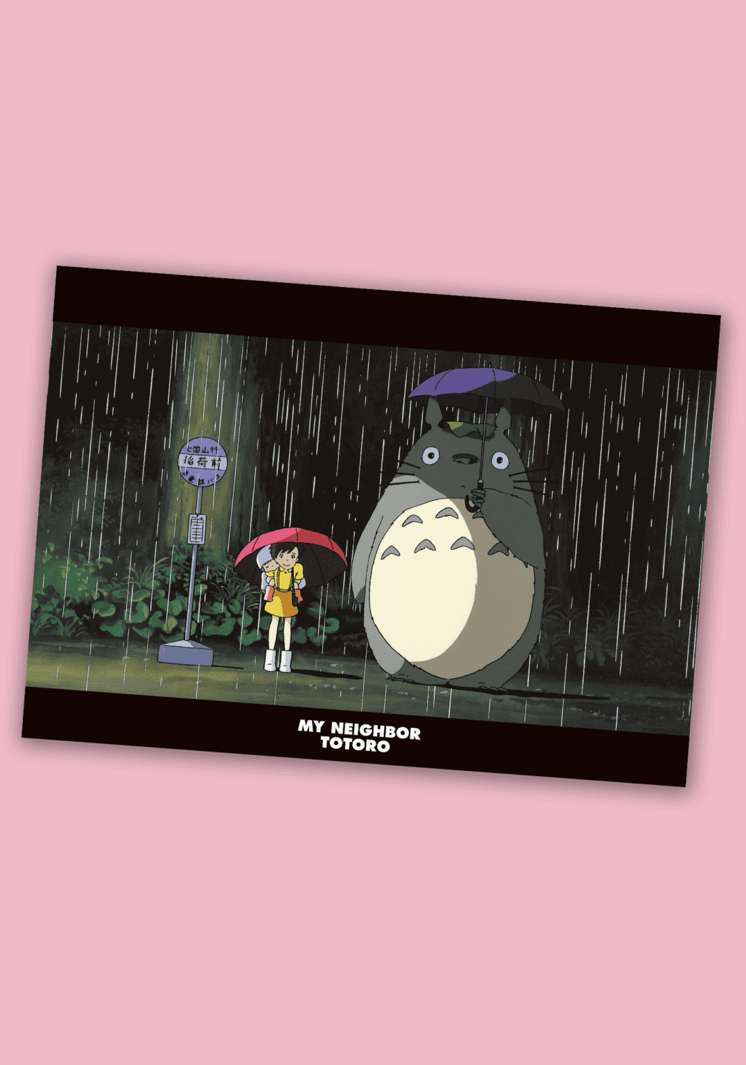Clear Document Folder | A4 | Studio Ghibli