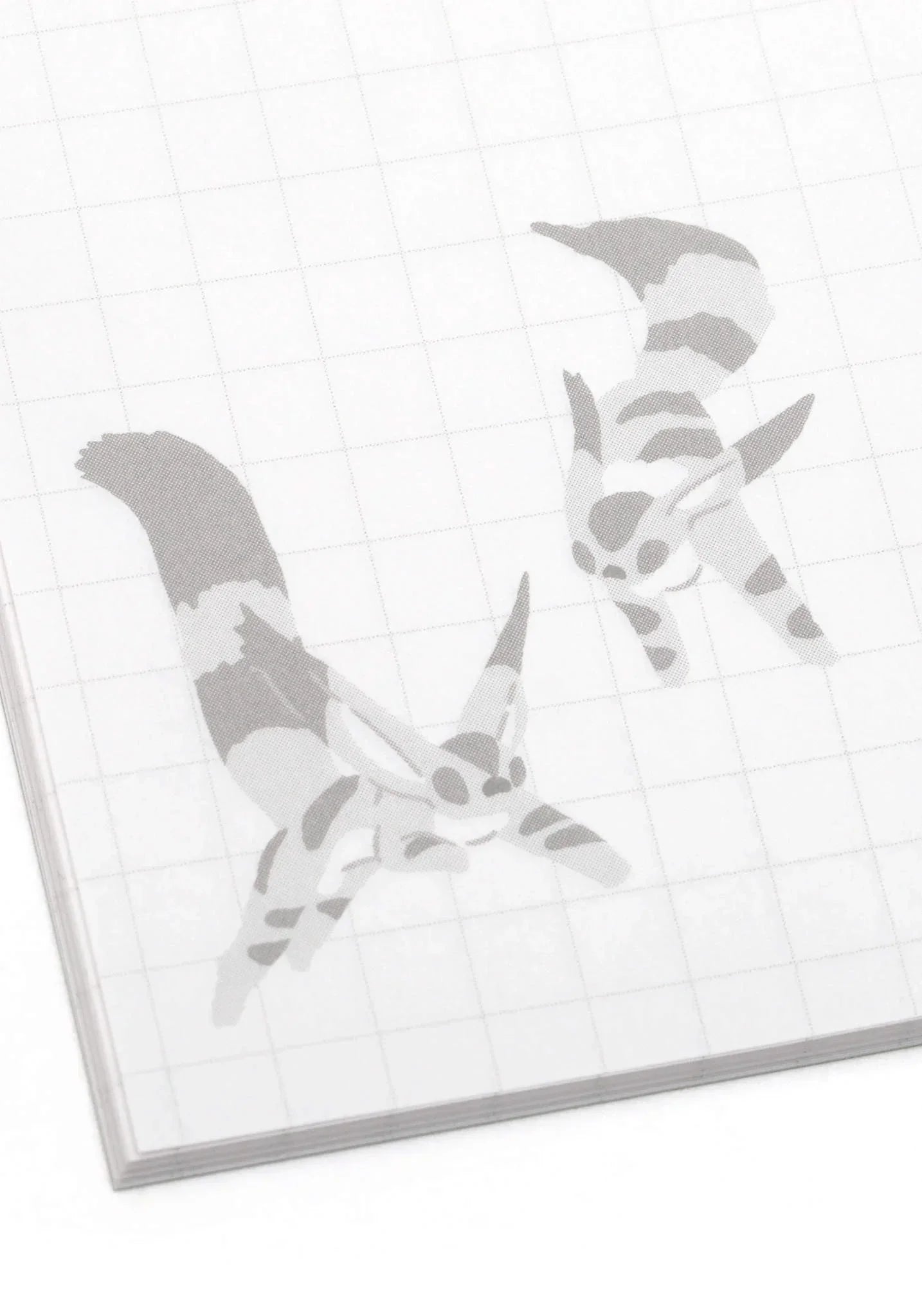 Notebook | B6 | Studio Ghibli (see variants) Stationery Movic