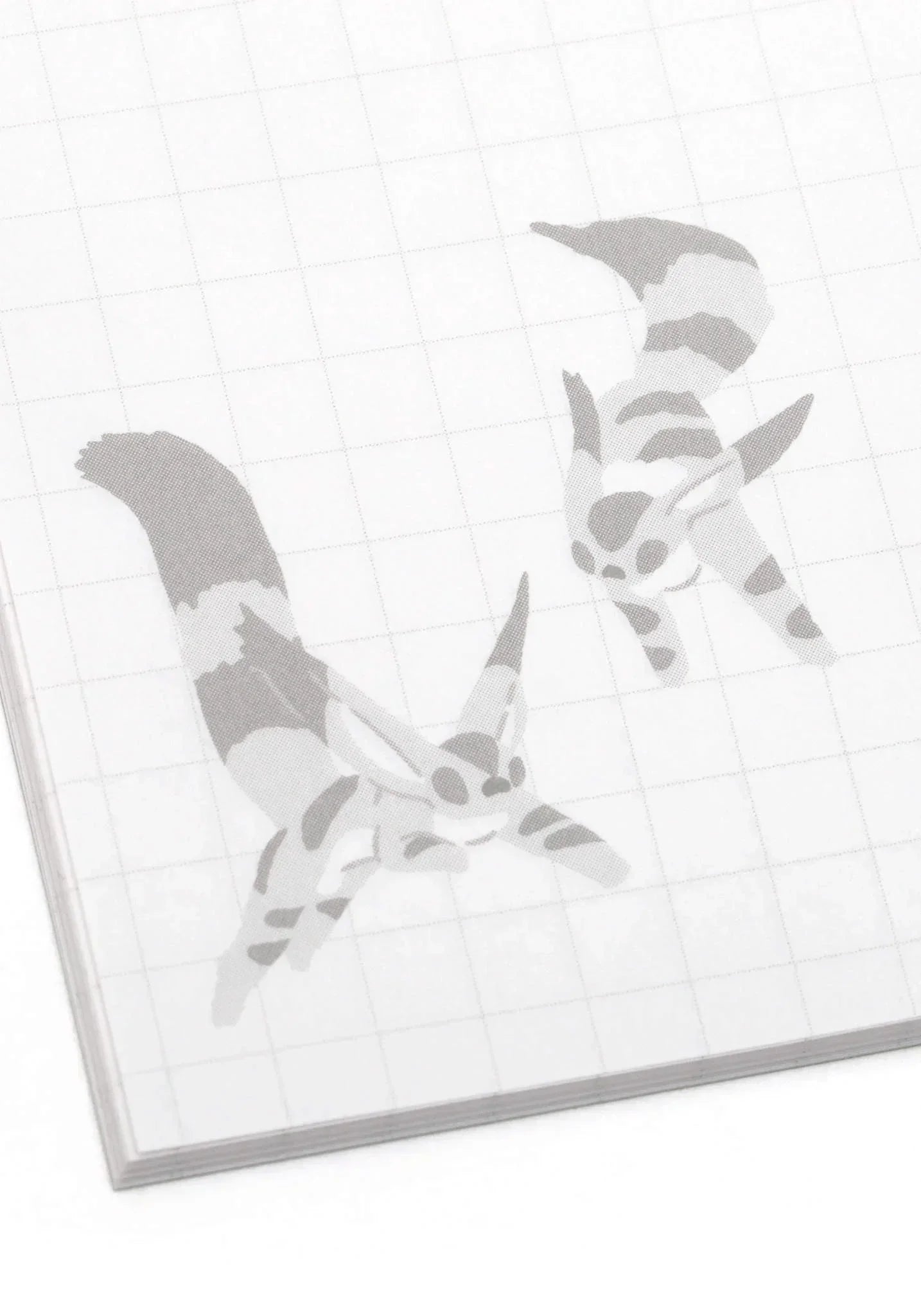 Notebook | B6 | Studio Ghibli (see variants) Stationery Movic