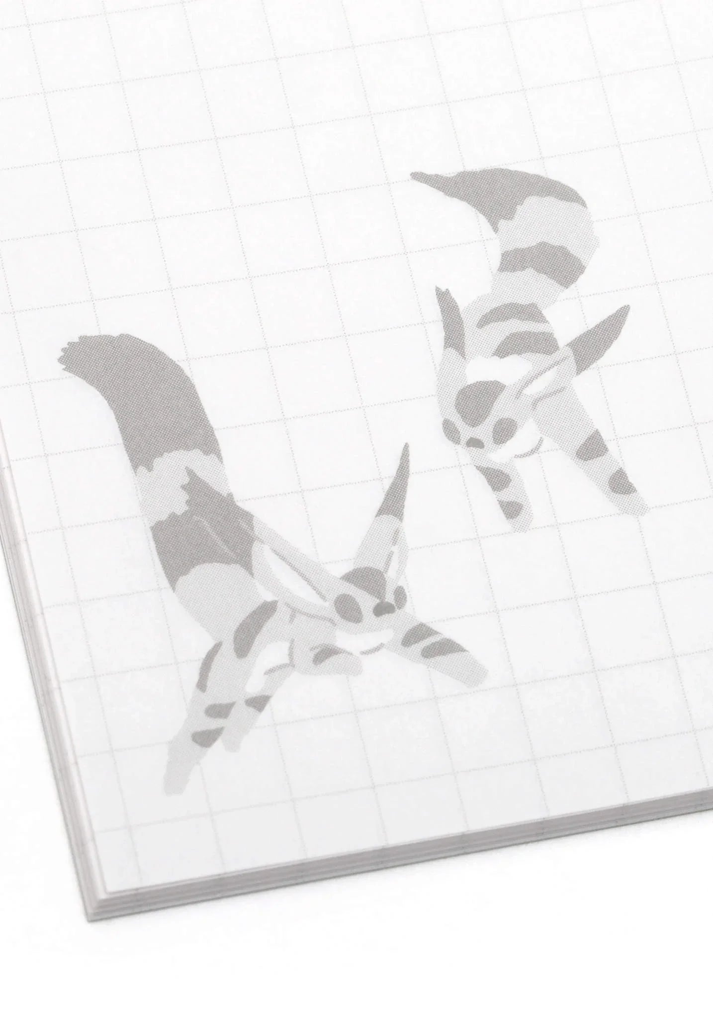 Notebook | B6 | Studio Ghibli
