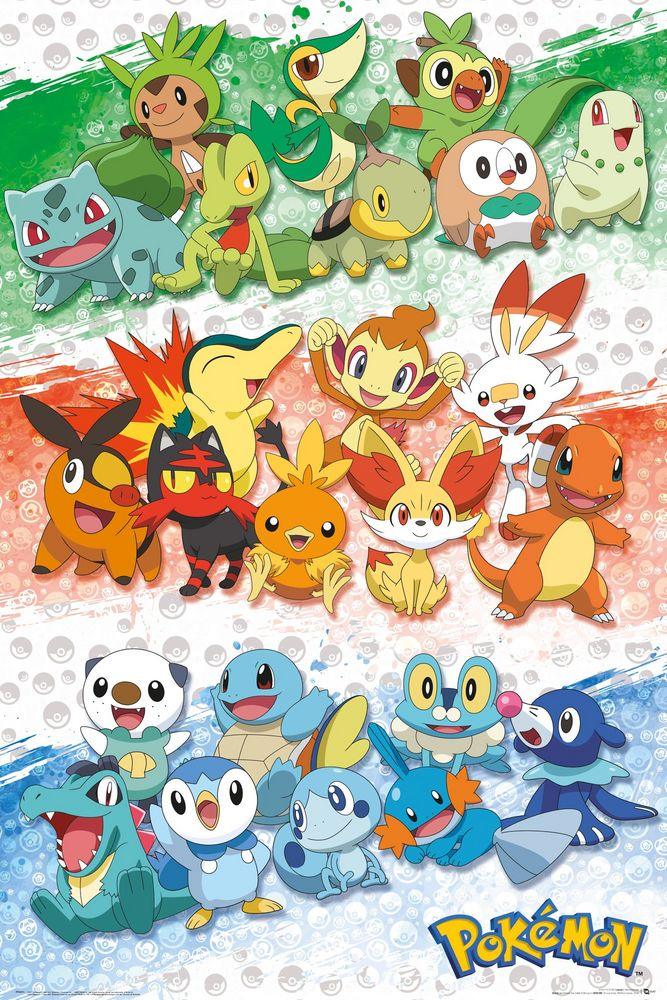 Poster | Pokémon | Starters Poster Studio B