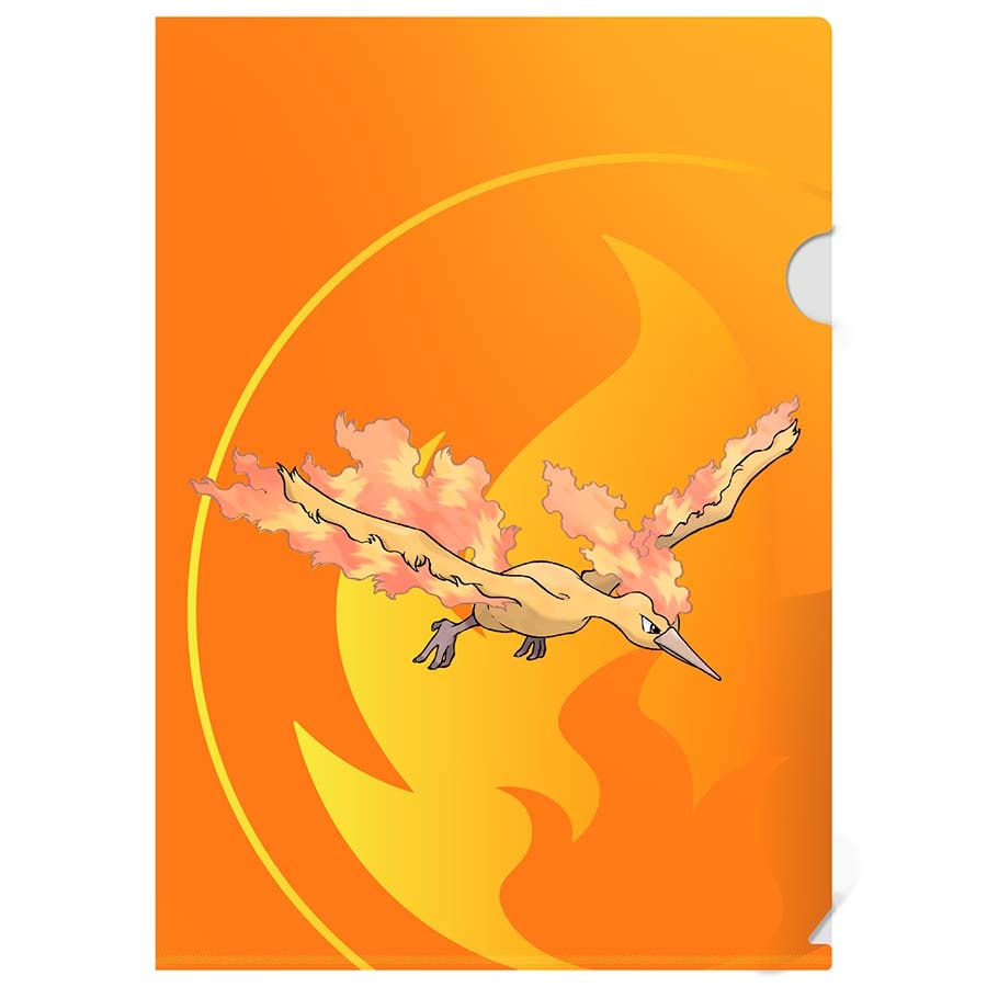Tournament Folio | Pokémon | 3-Pack