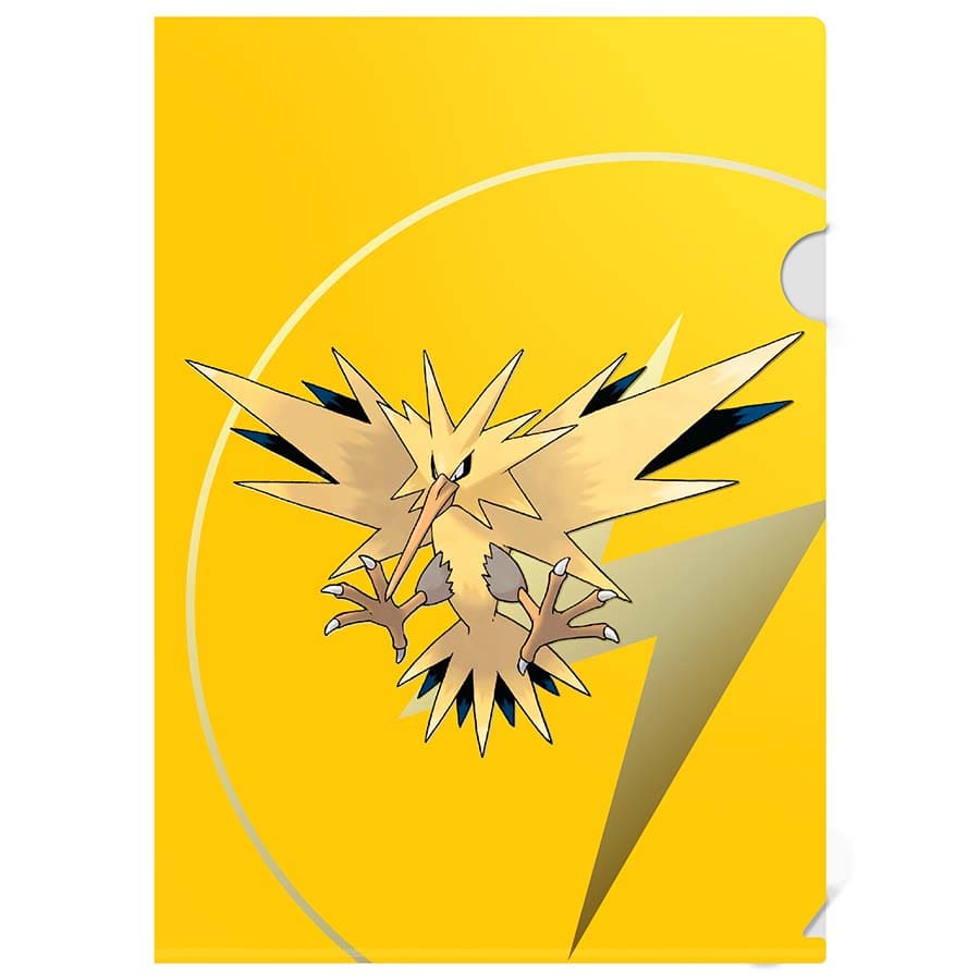 Tournament Folio | Pokémon | 3-Pack