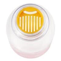 Water Bottle | Studio Ghibli Kitchenware Skater